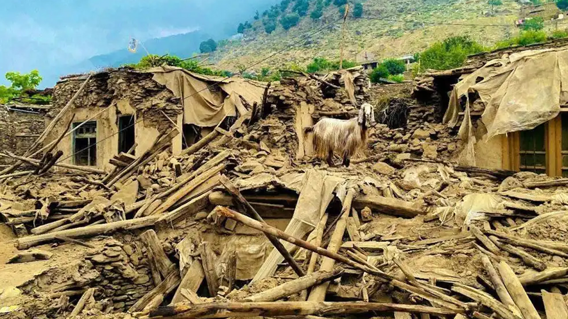 अफगानिस्तानमा भूकम्प, मृत्यु हुनेको संख्या ८०० पुग्यो
